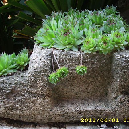 Guest House Villa Katty 巴尔奇克 外观 照片